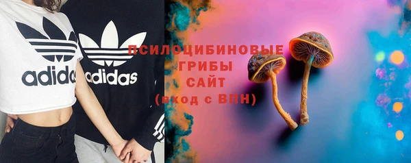 дживик Дмитров