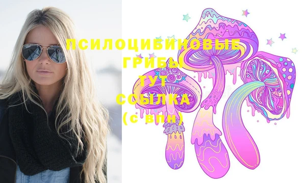 таблы Дмитровск