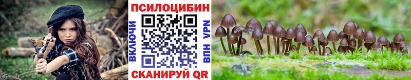 как найти закладки  Дорогобуж  Галлюциногенные грибы мухоморы 