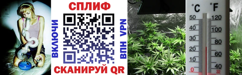 Бошки марихуана SATIVA & INDICA  Дорогобуж 